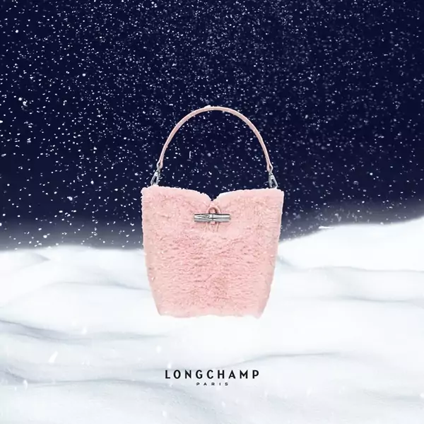 TS_Xmas_Longchamp (Copy)