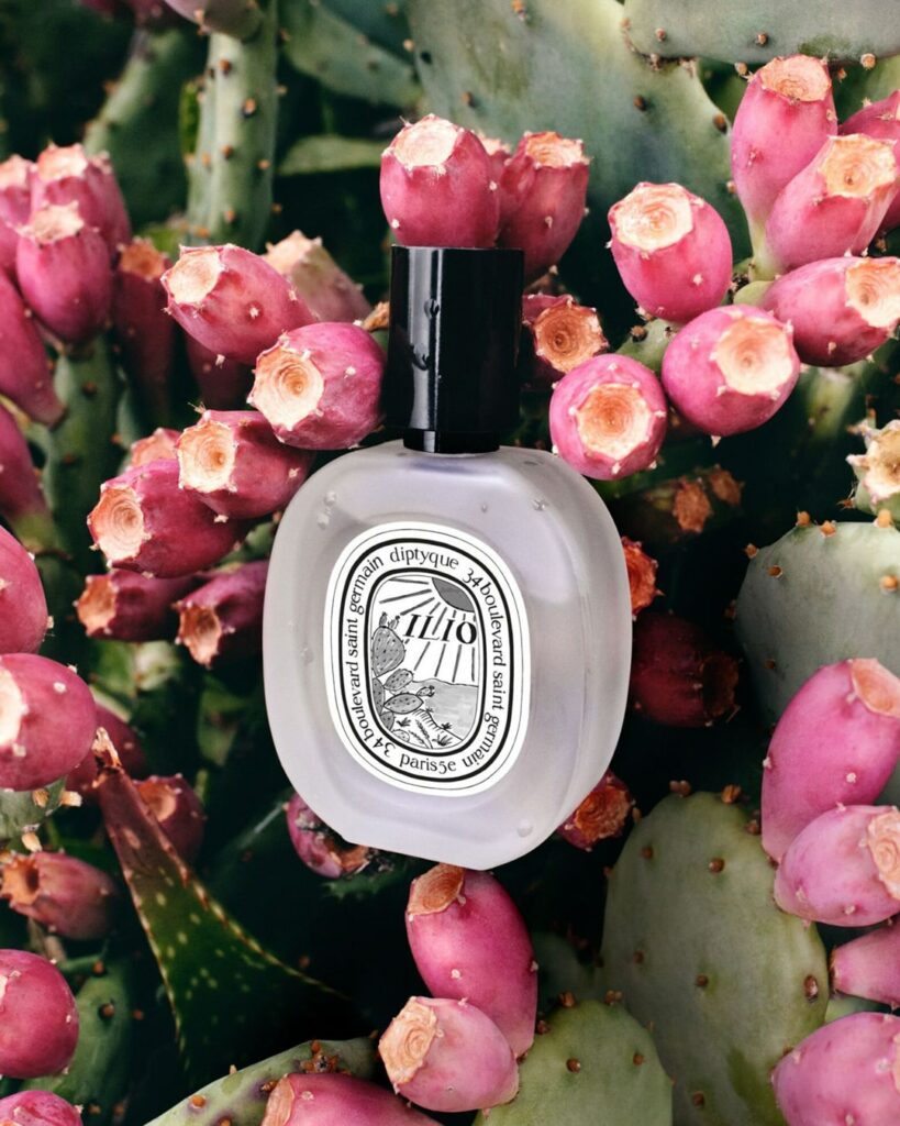 “GIẤC MỘNG MÙA HÈ” CỦA DIPTYQUE VÀ MỘT “NGHI THỨC” HƯƠNG THƠM MỚI 8 “GIẤC MỘNG MÙA HÈ” CỦA DIPTYQUE VÀ MỘT “NGHI THỨC” HƯƠNG THƠM MỚI 7