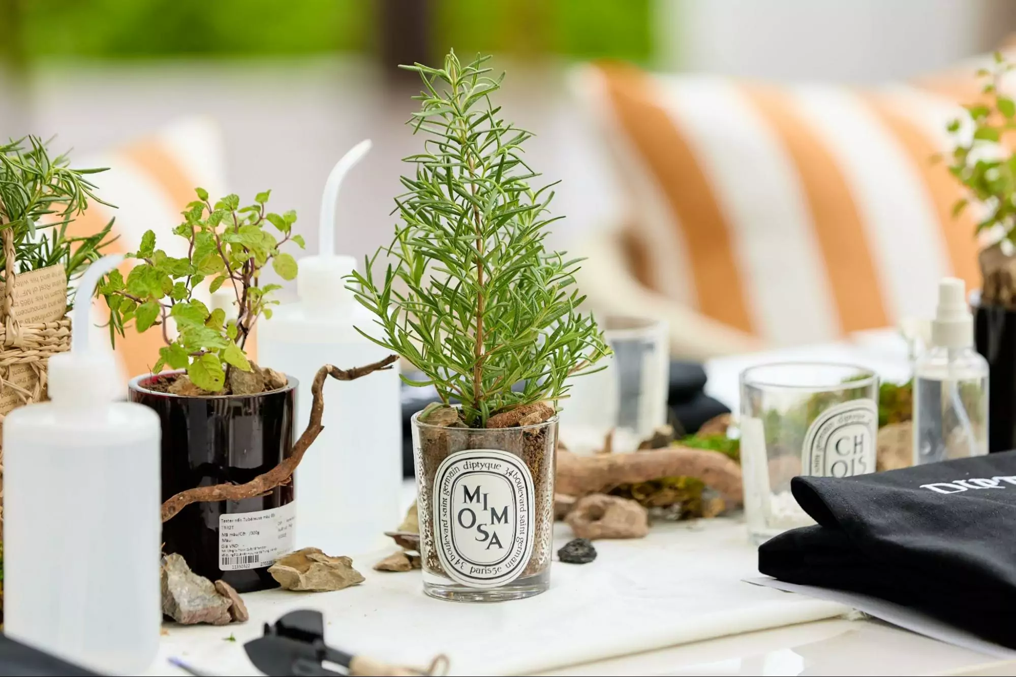 CÙNG DIPTYQUE VÀ DÀN KOL ĐẶT CHÂN TỚI “KHU VƯỜN MÙA HÈ” 18 CÙNG DIPTYQUE VÀ DÀN KOL ĐẶT CHÂN TỚI “KHU VƯỜN MÙA HÈ” 17