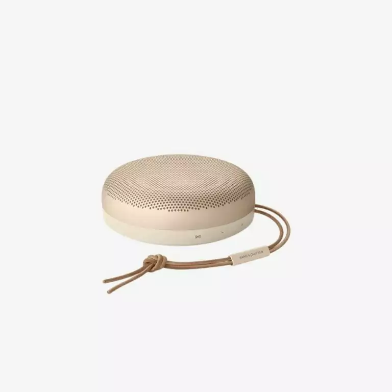 Loa Beosound A1 Gen 2