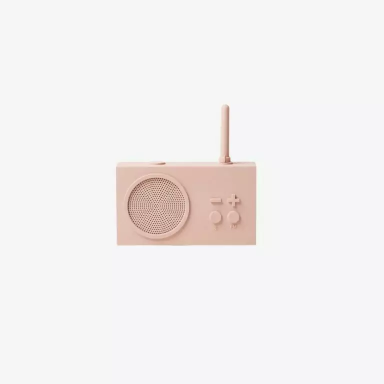 Loa Bluetooth kiêm đài FM
