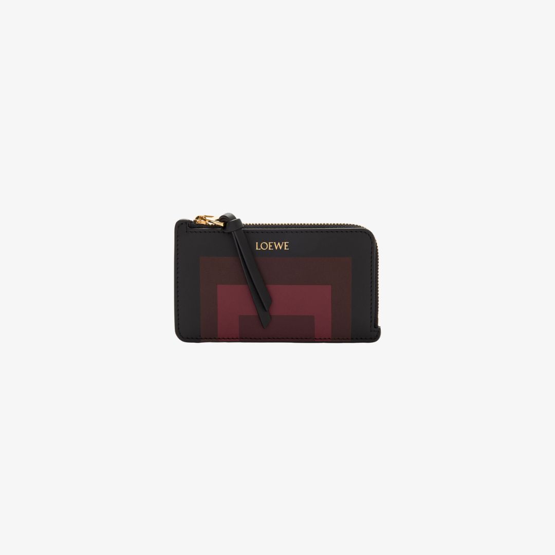 Chiến dịch LOEWE Thu Đông 2025 42 Ví Coin Cardholder Albers