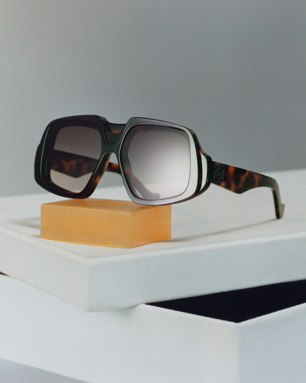 Chiến dịch LOEWE Thu Đông 2025 28 LOEWE_FW25_MAIN_CAMPAIGN_B_ROLL_SINGLE_IMAGES_CROPPED_4X5_39 (Copy)