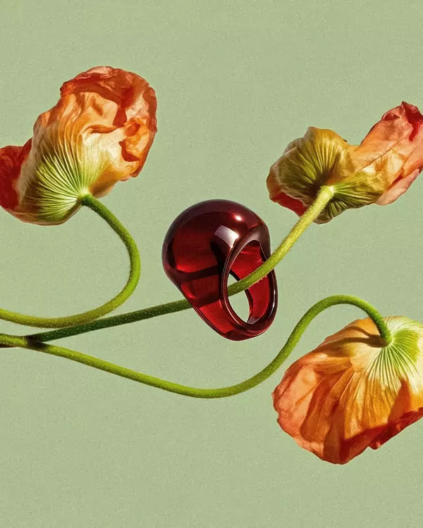 a glass ring hanging from the stem of the flower --ar 58:77 --raw --stylize 500 --v 7 Job ID: 08afe391-1052-4486-941a-8d44312f020b
