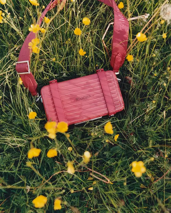 RIMOWA (Copy)