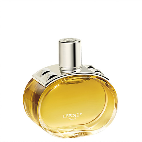 Barénia Hermès 13