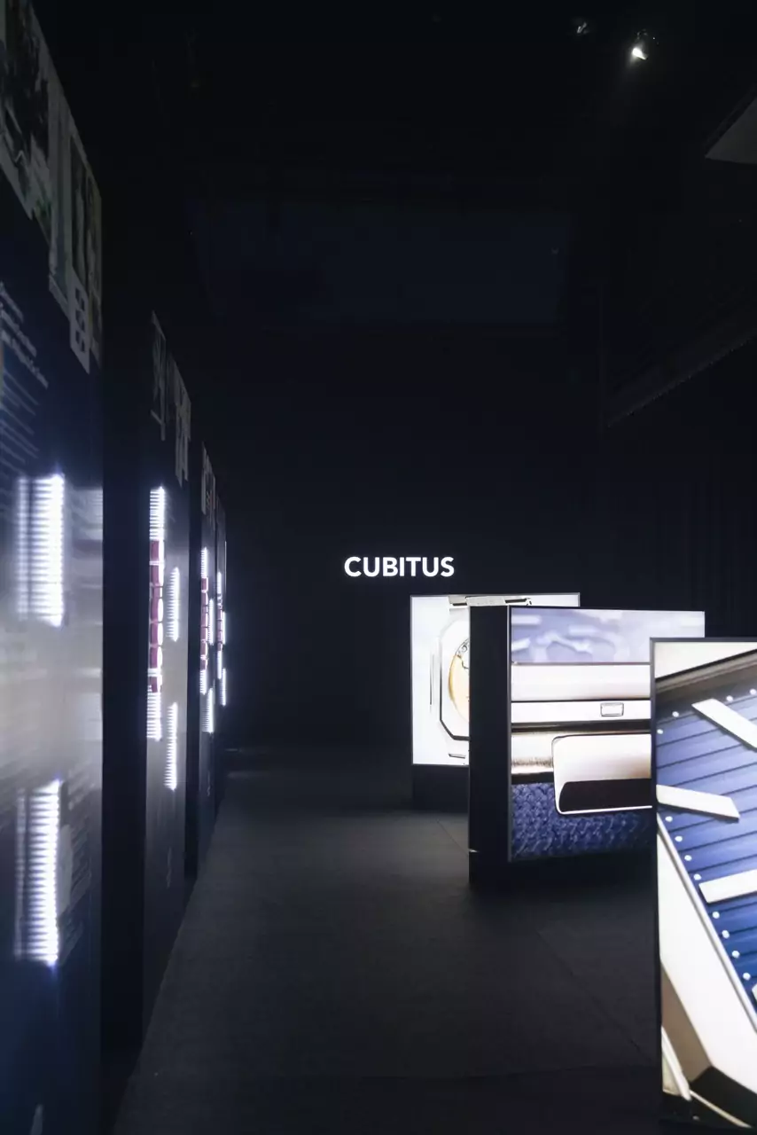 “ĐÊM CỦA CUBITUS” TẠI THÀNH PHỐ HỒ CHÍ MINH 15