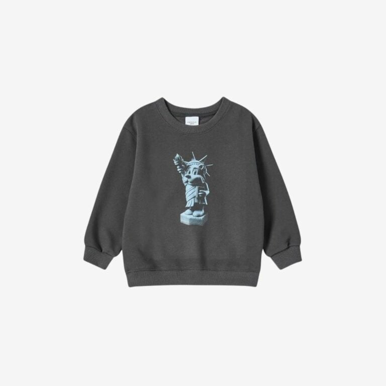 Áo nỉ AC Bear Statue of Liberty