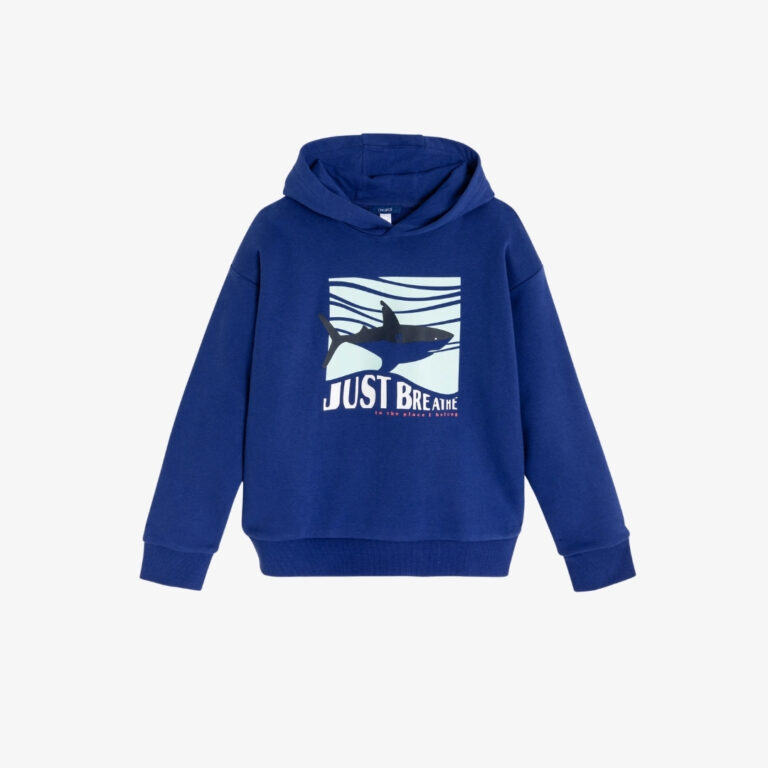 Áo hoodie cho bé trai