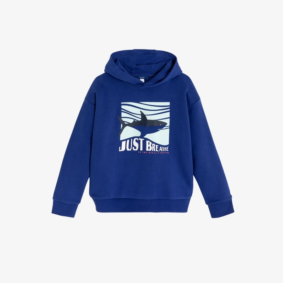Mua Thêm Giảm Thêm - Ưu đãi đến 30% nhiều sản phẩm mới 58 Áo hoodie cho bé trai