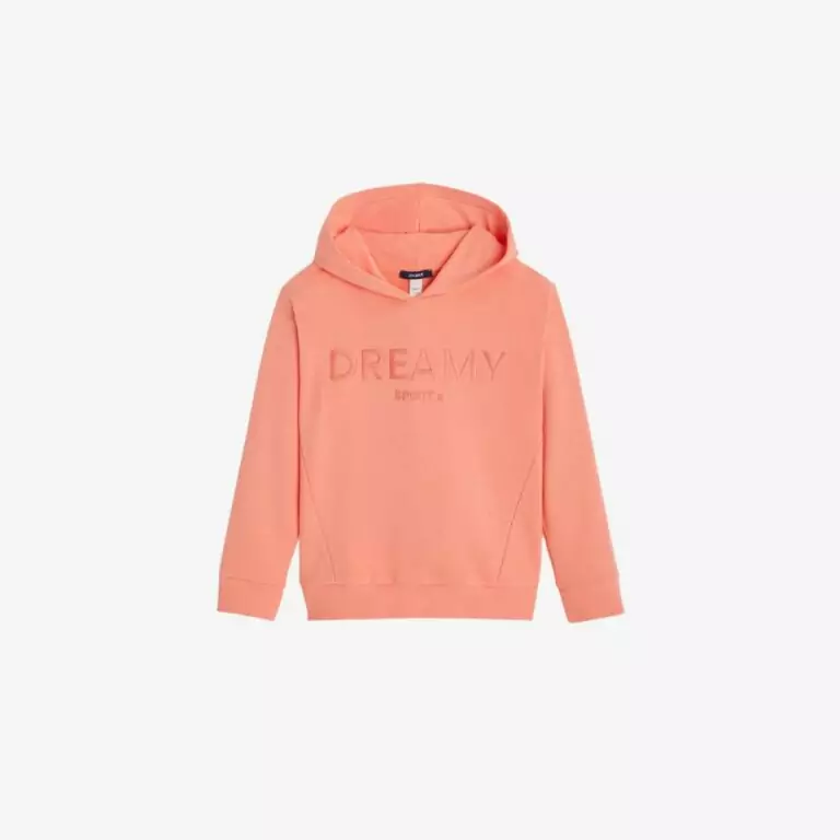 End of season sale 49 Áo Hoodie In Slogan